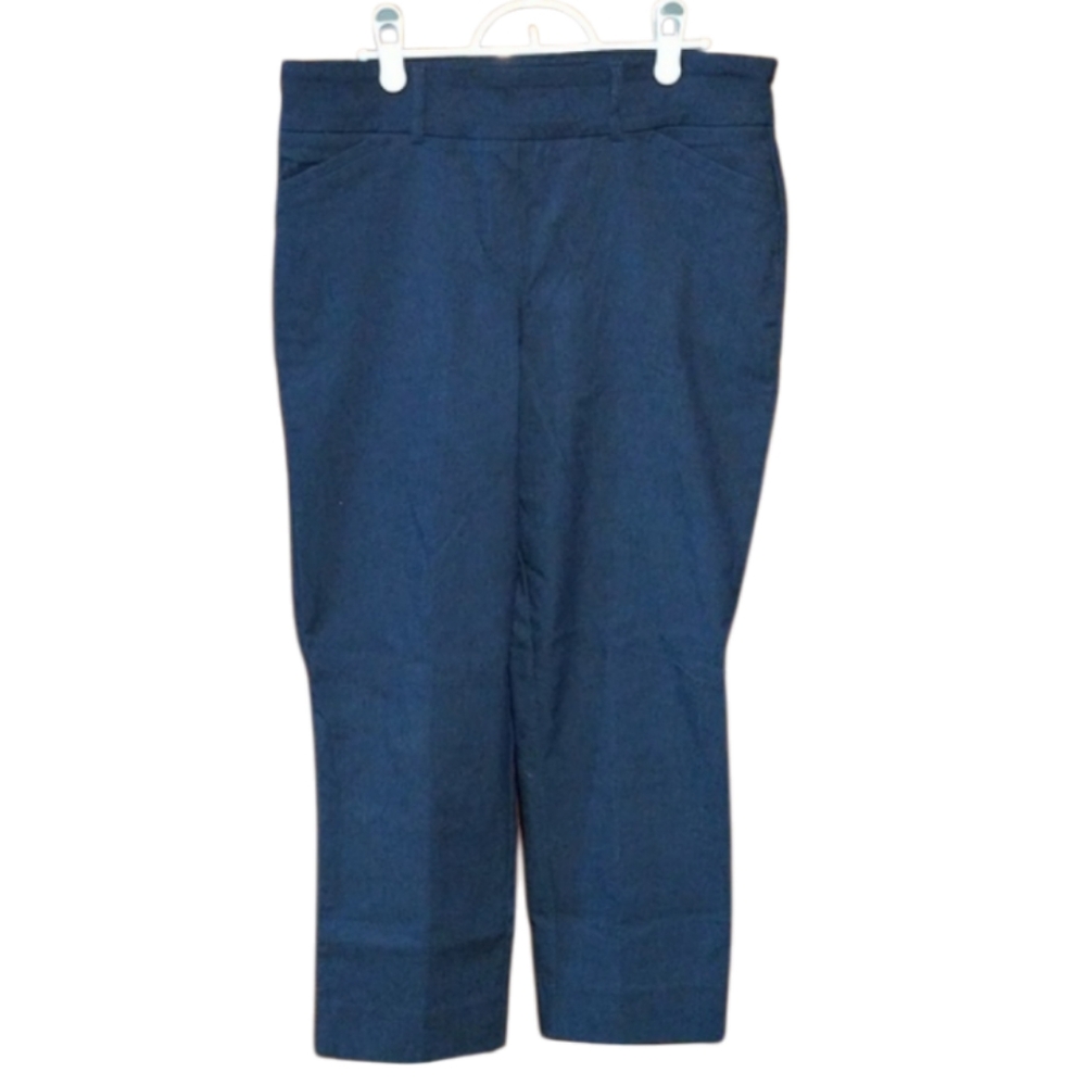 💙 Blue Ankle Trouser Pants – Size 10 – by Hilary Radley